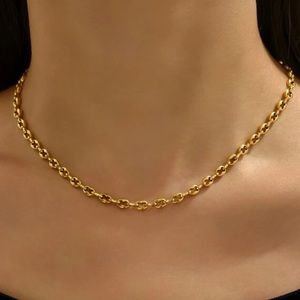 18k gold plated stainless steel round link chain necklace